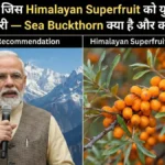 PM Modi advises youth on the importance of Himalayan superfruit